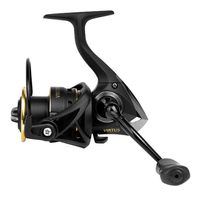 Virtus 4000 Ryobi-3